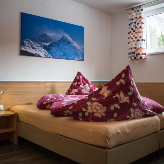 04 Apart Alpenrose Apart Edelweis